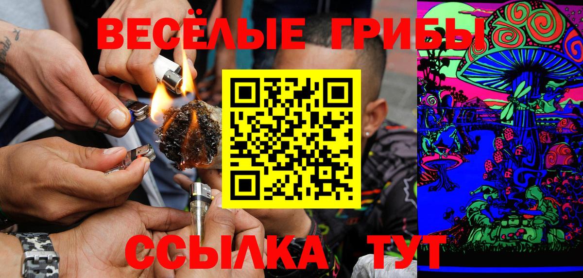 Галлюциногенные грибы Cubensis Клин